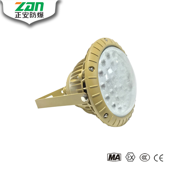 推薦產(chǎn)品ZAD301 LED免維護(hù)防爆燈照片